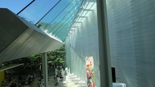 森からの贈りもの 印象派コレクション☆