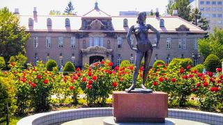 真っ赤なバラに囲まれて素敵な『若い女の像』