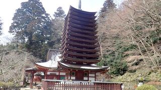 中臣（藤原）鎌足ゆかりの神社。世界唯一木造の十三重塔や縁結びのパワースポットも