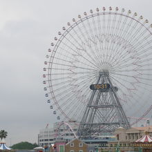 ケージの色も何種類かあります
