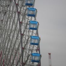 天候が悪いと空いたケージが多くなります