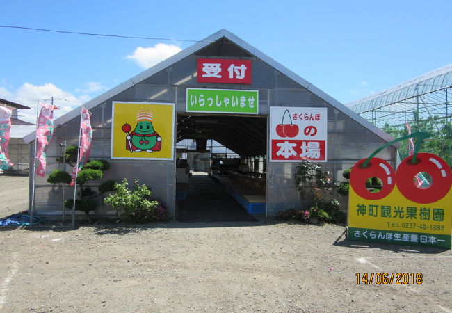 神町観光果樹園