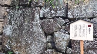 そんなに大きくない