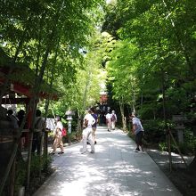 緑に囲まれた参道