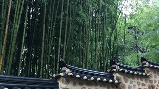 しっとりと、山寺で癒される