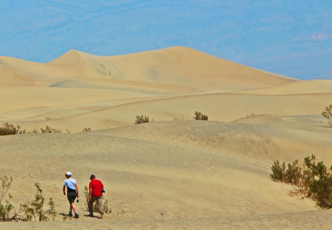荒野に突如現れる砂丘☆真夏のサンダルはNG／Mesquite Flat Sand Dunes
