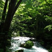 普通の急流にしか見えませんでした・・・