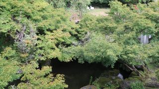 見学できません