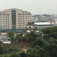 客室から見下ろす浜松城