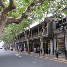 通りには、街路樹が植えられており、心が和みます