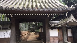 日蓮上人袈裟掛けの松があるお寺