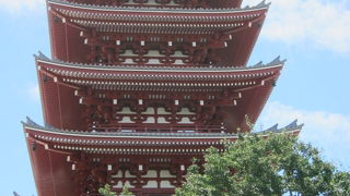 カメラを向けずにはいられない美しい姿