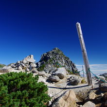 山頂が見えてきます