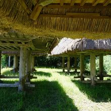 下からのぞいたところ