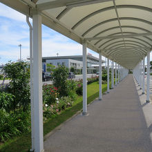 ターミナルビルへ向かう歩道のあたりは…