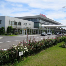 薔薇園になっています