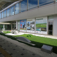 ターミナルビル前も緑があります