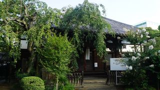 加賀の千代女の俳句「朝顔につるべ取られてもらい水」の碑もあります