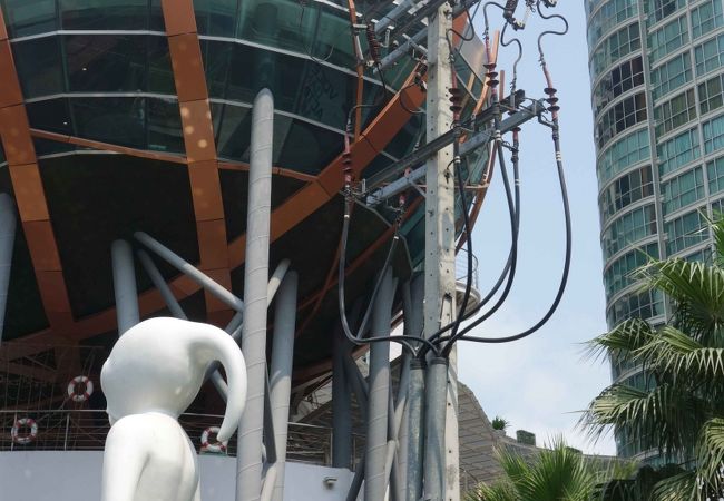 日本人も多く住むプラカノンエリアの高級コンドミニアム