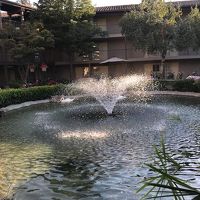 ヘタすぎる写真