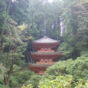 奈良時代創建の三重塔や阿弥陀如来像が見所