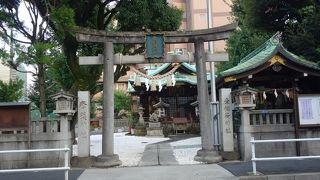 境内の大木が歴史を感じさせました