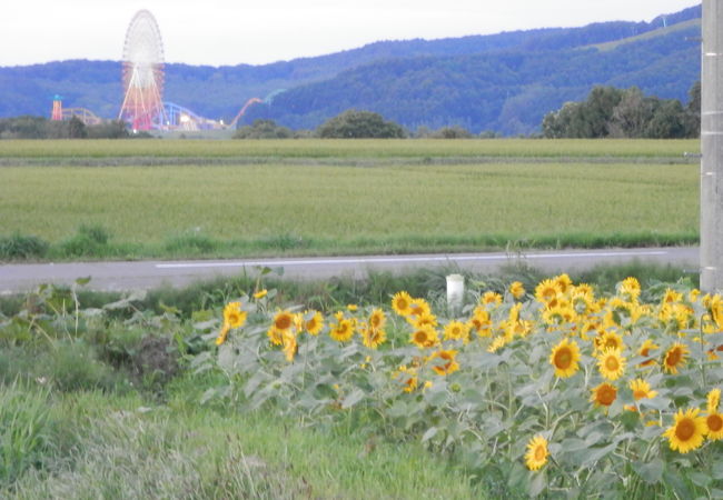 いわみざわ公園