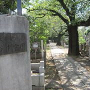 有名人のお墓が多数ある霊園