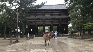 いつも写真を撮ってしまう