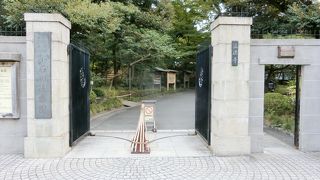 混雑知らずの都内自然スポット