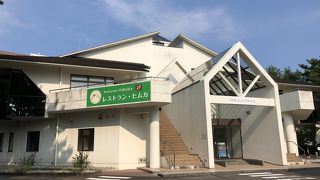 種類は少ない。