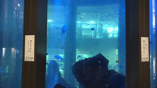 子連れで楽しめる。