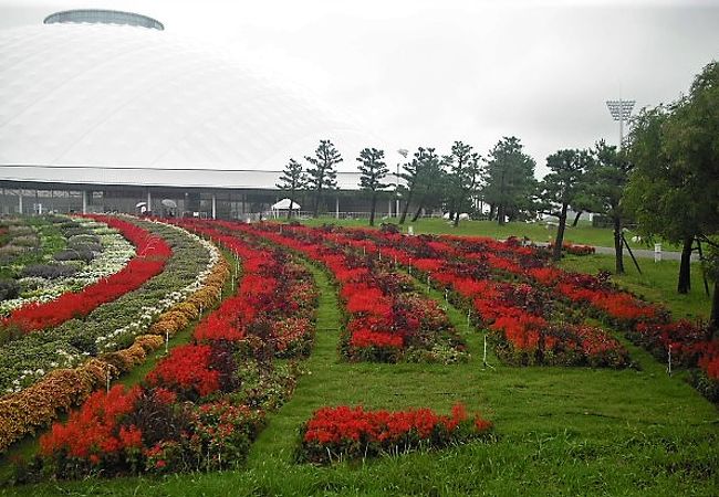 １１月４日まで山口ゆめ花博が開催されています。お花を見るのが楽しいです。