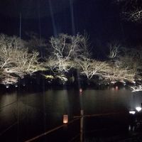 夜の三船山楽園