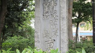 草木で半分しか見えませんでした