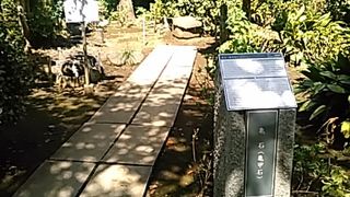 (力石)そうは見えませんが、重さは320kgもあります。