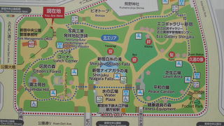 新宿西口の高層ビル街のさらに西に広がる大きな公園
