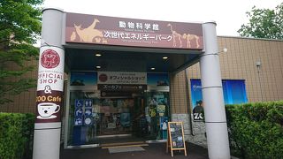 円山動物園のグッズなどが並んでいます。