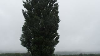 北海道ならではの景観