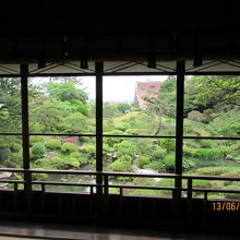 邸内から見た池と庭。