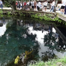 中国・韓国からの観光客がほとんど