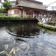 茅葺屋根の家がいい雰囲気