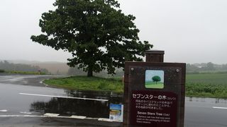 たばこのブランド