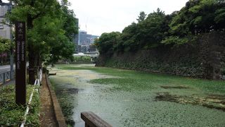 内堀通り沿いのお濠です