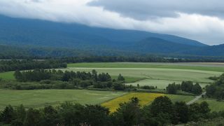大雪の山々の絶景ビューポイント