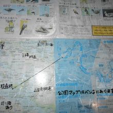 案内板は老朽化しているが、自然が残っている。