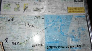 善福寺川沿いの親水緑地公園