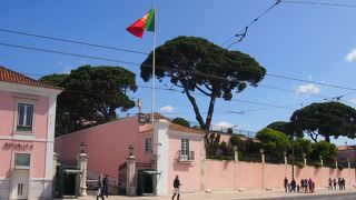 なんか警戒が厳重でした。