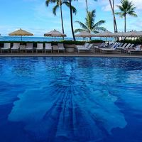 オーキッドプール