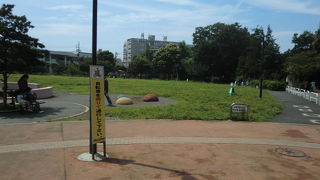 大きな芝生広場